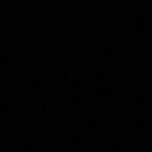 Meet your Posher, Dillon